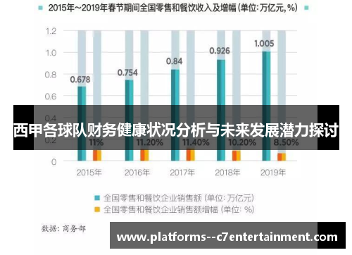 西甲各球队财务健康状况分析与未来发展潜力探讨