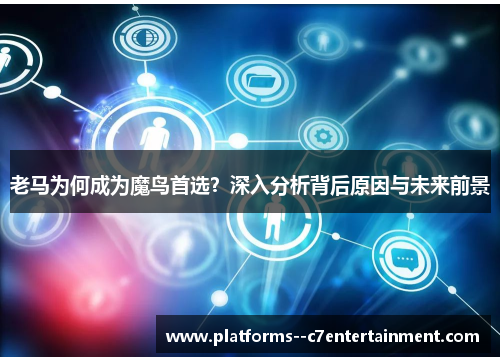 老马为何成为魔鸟首选？深入分析背后原因与未来前景
