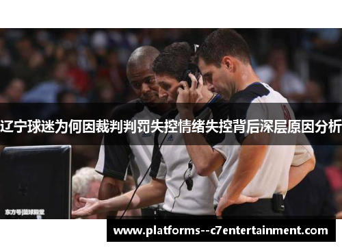 辽宁球迷为何因裁判判罚失控情绪失控背后深层原因分析