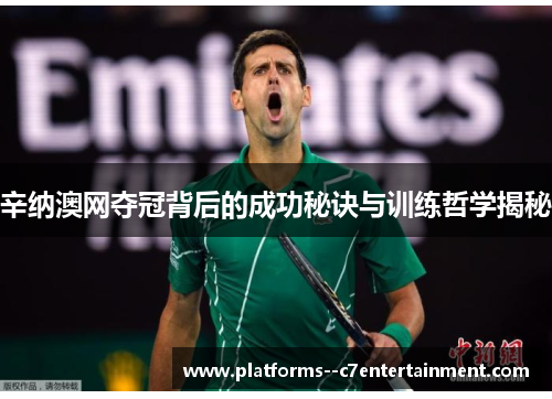 辛纳澳网夺冠背后的成功秘诀与训练哲学揭秘