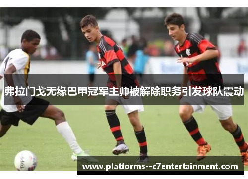 弗拉门戈无缘巴甲冠军主帅被解除职务引发球队震动