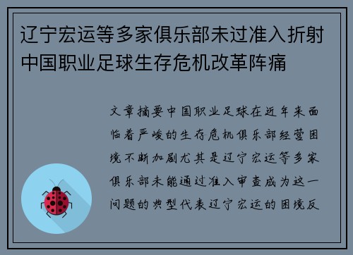 辽宁宏运等多家俱乐部未过准入折射中国职业足球生存危机改革阵痛 辽宁宏运等多家俱乐部未过准入折射中国职业足球生存危机改革阵痛