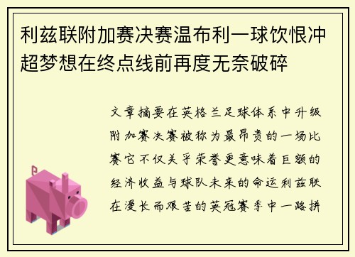 利兹联附加赛决赛温布利一球饮恨冲超梦想在终点线前再度无奈破碎